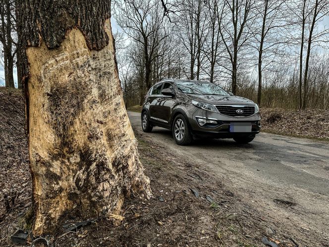 Mateusz znał tę drogę na pamięć. Jechał odwiedzić ojca. Zginął kilkaset metrów od domu
