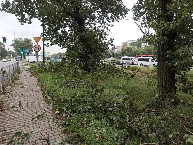 Przez Lublin przeszła potężna nawałnica. Trwa usuwanie jej skutków. 