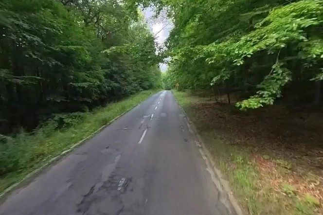 Społecznicy chcą zatrzymać ruch przelotowy przez Las Łagiewnicki