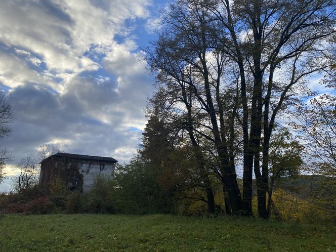 Zamek w Dąbrówce Starzeńskiej