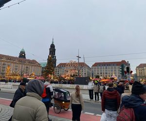 Najstarszy jarmark bożonarodzeniowy w Niemczech. Drezno zachwyca turystów z całego świata 