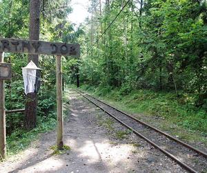 Wigierski Park Narodowy. To bezcenny obszar podlaskiej natury