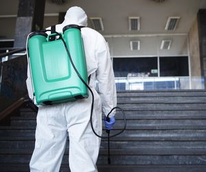 Wybuch ptasiej grypy. Zagazowano 21 tys. kaczek. To wielkie zagrożenie