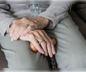 Korpus Wsparcia Seniorów w Olsztynie