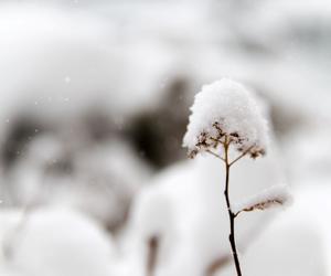 Na Lubelszczyźnie spadnie śnieg