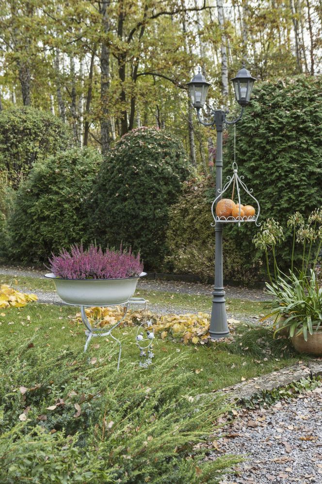 Jesienne dekoracje balkonu i tarasu