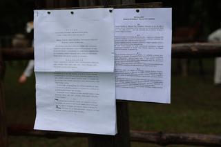 Jarmark koński w Muzeum Wsi Lubelskiej