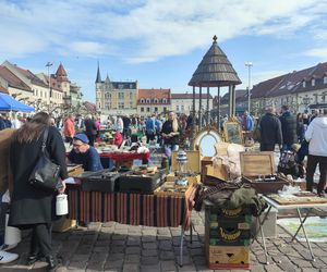 Jarmark stroci ponownie zawitał do Pszczyny