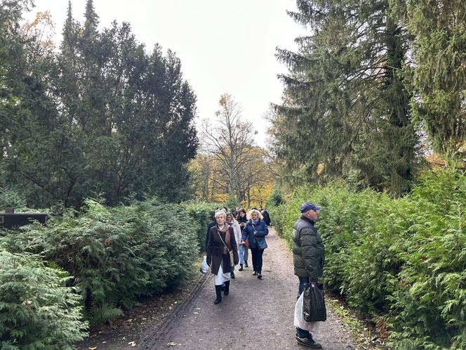 Wszystkich Świętych 2023 Cmentarz Centralny Szczecin 