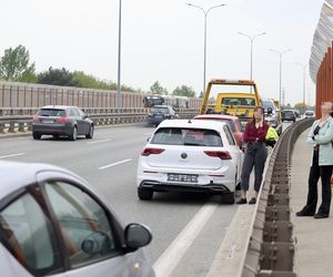 Warszawa sparaliżowana! Karambol po potrąceniu dzika. Kosmiczny korek aż do Marsa
