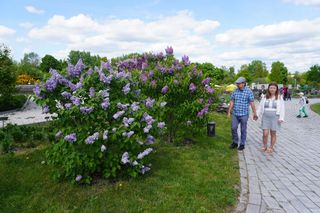 Ogród Botaniczny w Kielcach