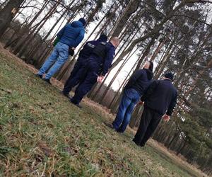 Gostyń. W lesie znaleziono niewybuchy. Ktoś je tam porzucił. Szuka go policja