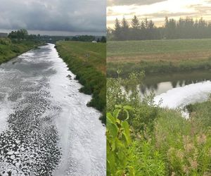 Fala chemicznej piany płynie w stronę Krakowa. Wędkarze alarmują