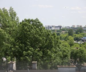 Taras widokowy na placu im. Jerzego Giedroycia w Lublinie