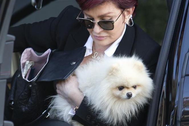 Sharon Osbourne z psem