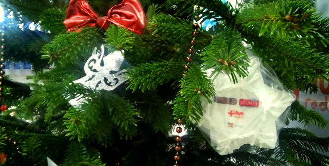 Uwaga! Radio ESKA i ESKA INFO Szczecin rozdają choinki! Codziennie zgarniaj świąteczne drzewko!