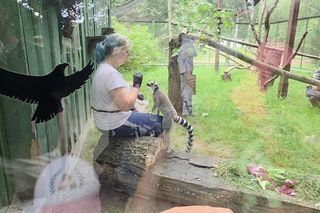 Pokazowe karmienie w myślęcińskim zoo to prawdziwy hit! Sprawdziliśmy to na miejscu