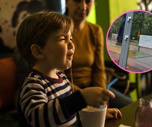 Dzieci i psy tylko w kagańcu - napisali na drzwiach do restauracji. Poznań oburzony