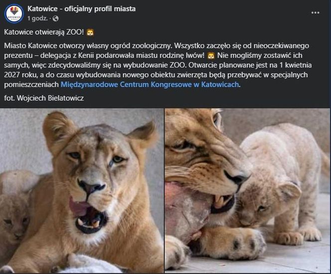 Śląsk wkręca się w Prima Aprilis