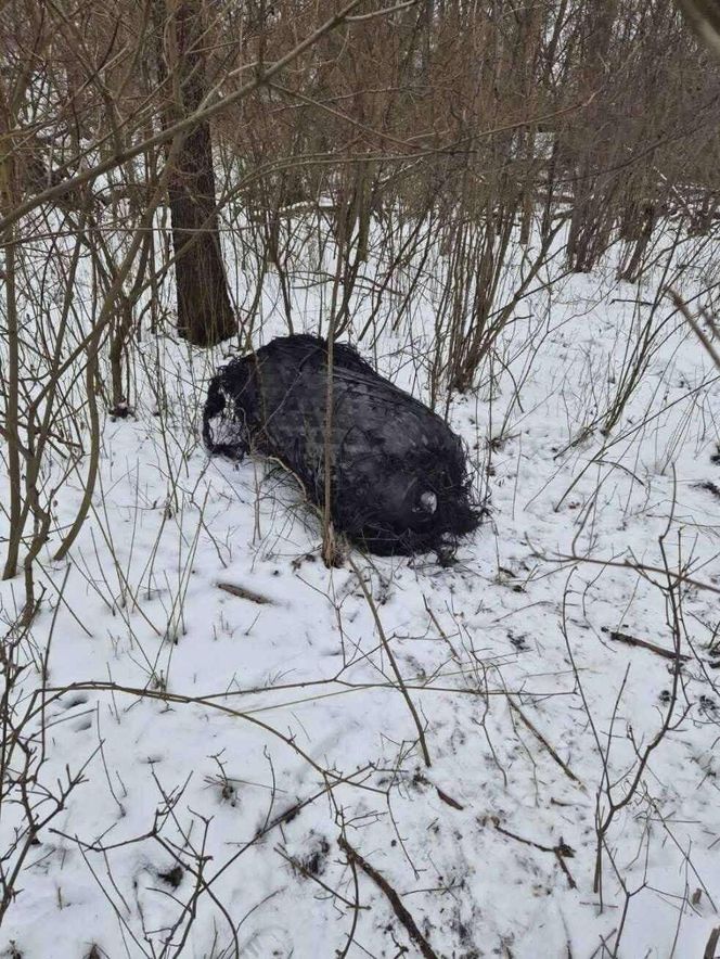 Szczątki rakiety Falcon 9 pod Poznaniem! Znaleziono kolejny zbiornik 