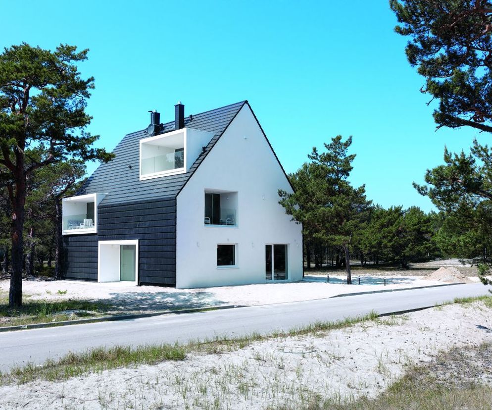 Architektura na wynajem. Oryginalny dom, jak znak graficzny w pejzażu