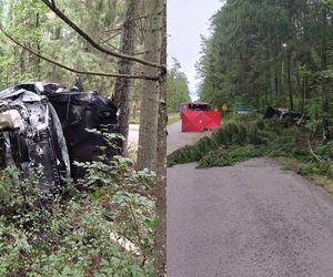 Nie żyje 42-letni pasażer volvo. Auto uderzyło w drzewo