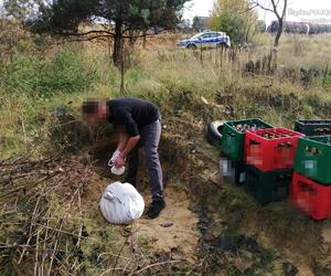 Chcieli być królami życia.  Karierę zaczęli od kradzieży skrzynek z butelkami po piwach