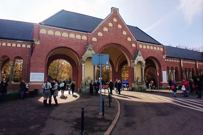 1 listopada na Cmentarzu Centralnym w Szczecinie