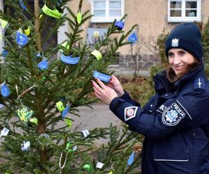 Pod Komendą Miejską Policji w Olsztynie stanęła oryginalna choinka. Każdy może ją rozebrać [ZDJĘCIA]