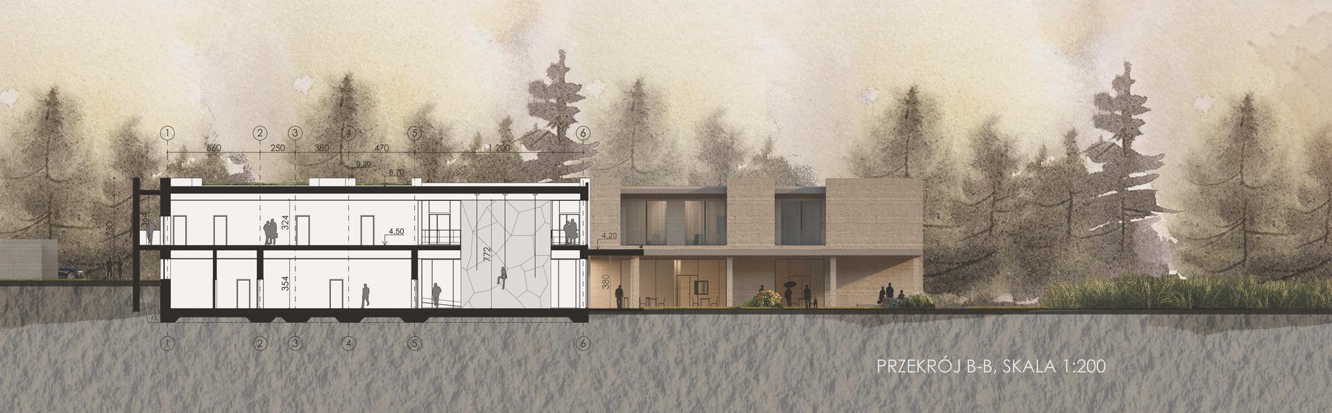 Przekrój poprzeczny