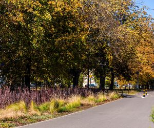 Park linearny na Bielanach w Warszawie