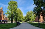 Plac Kościeleckich rozkwita na wiosnę. Bydgoszczanie chętnie wybierają go na spacer