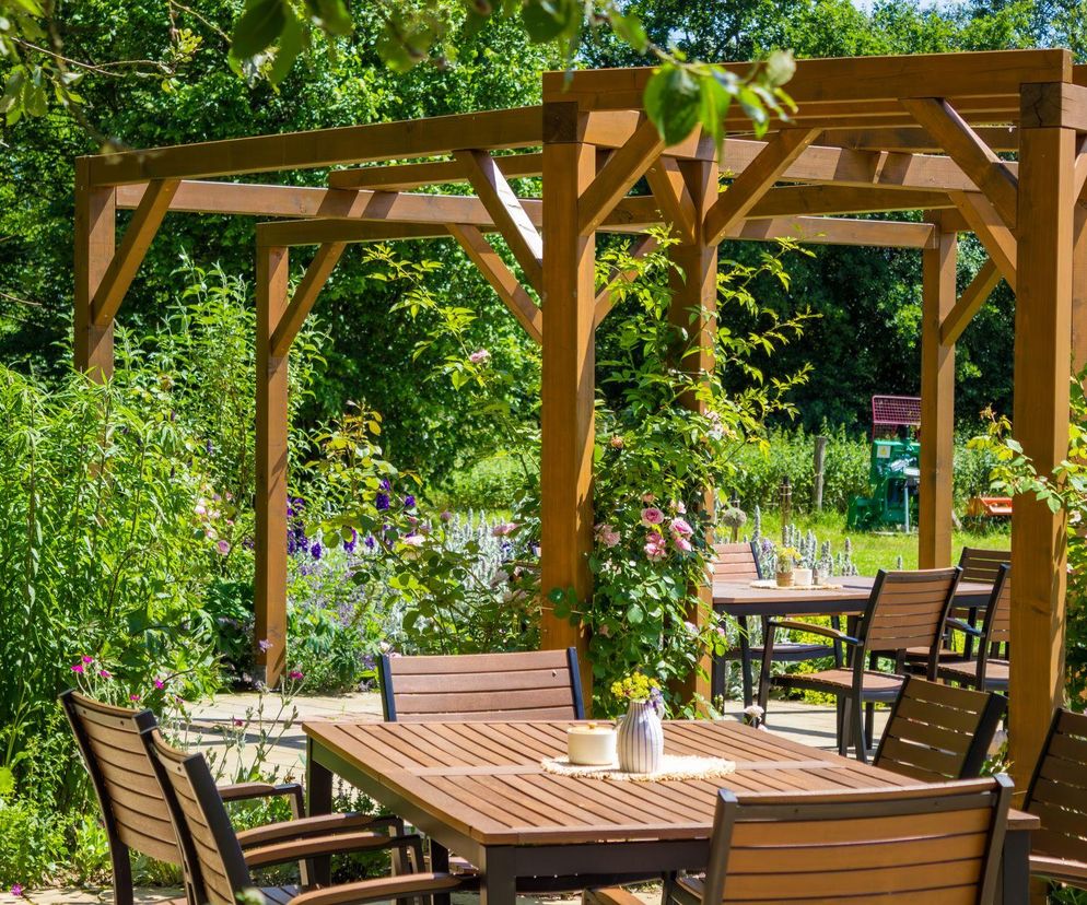 Pergola w ogrodzie