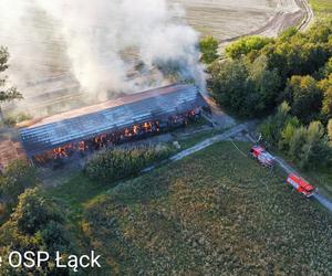 Pożar w Stadzie Ogierów w Łącku pod Płockiem