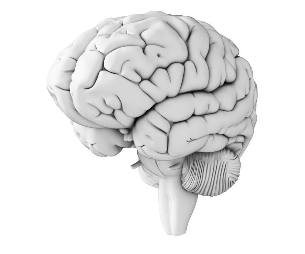 Choroba Creutzfeldta-Jakoba (CJD), czyli gąbczaste zwyrodnienie mózgu