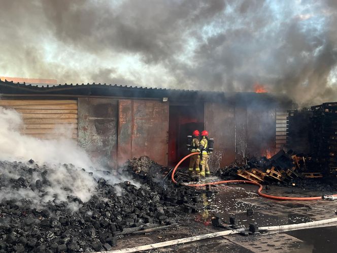 Łódź. Ogromny pożar ciężarówek i składowiska palet. Dramat na ul. Starorudzkiej [ZDJĘCIA].