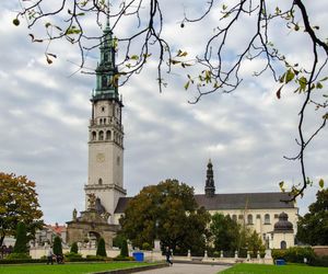 Najbardziej zielone miasta w Śląskiem