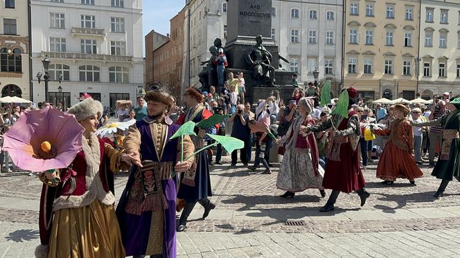 "Polonez wiosenny" na Rynku Głównym w Krakowie