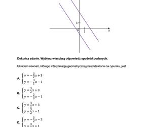 Matura z matematyki 2024 - ODPOWIEDŹ - ZADANIE 11