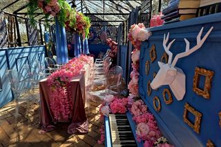 Wiosna w różowo niebieskiej szklarni