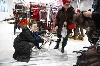 Zimowe PupiLove Targi w Katowicach. Nie brakuje miłośników czworonogów