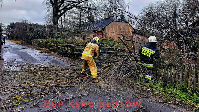 Niebezpieczne podmuchy wiatru w Łódzkiem. Strażacy interweniowali 140 razy