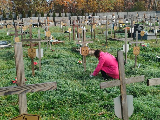 Odbyła się akcja „Światełko Pamięci”. Groby odwiedziło wiele osób