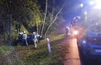 Śmiertelny wypadek koło Bełchatowa. Nie żyje 29-letni kierowca