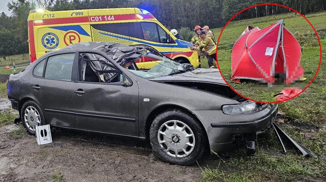 Tragiczna śmierć młodej kobiety w stawie! Wcześniej uderzyła autem w łosia [ZDJĘCIA]