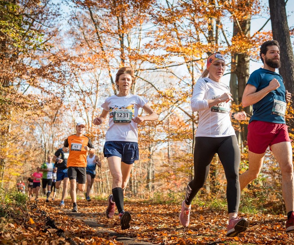 Nowy sezon biegów przełajowych CITY TRAIL w Katowicach