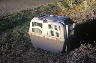 Ktoś wsadził psa do transportera i porzucił obok działek w Bydgoszczy! Policja szuka właściciela