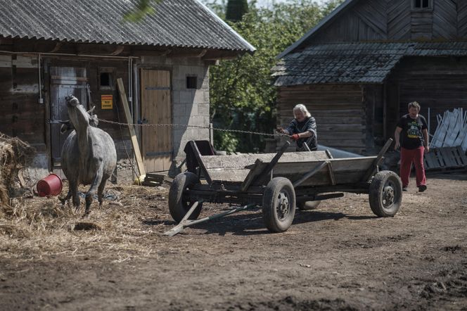 Rolnicy. Podlasie. Dom Gienka i Andrzeja z Plutycz - tak było kiedyś