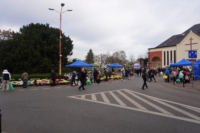 Ceny zniczy i kwiatów pod Cmentarzem Centralnym w Szczecinie