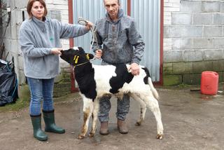 Burek zagryzł mu mamę